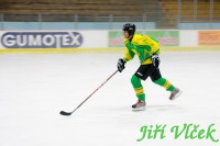 /album/fotogalerie-fun-zone/a1vlcek-jpg/